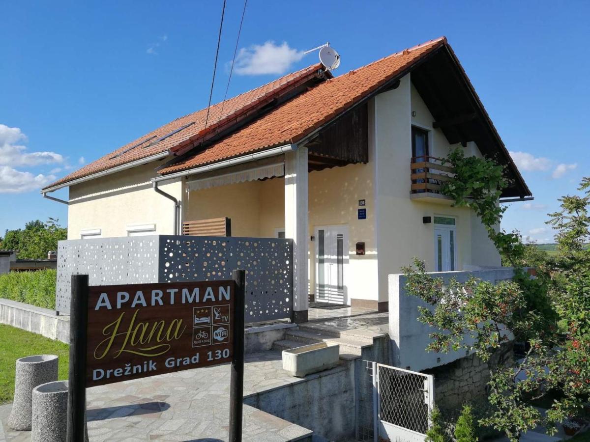 Apartman Hana Apartment Drežnik Grad Exterior foto