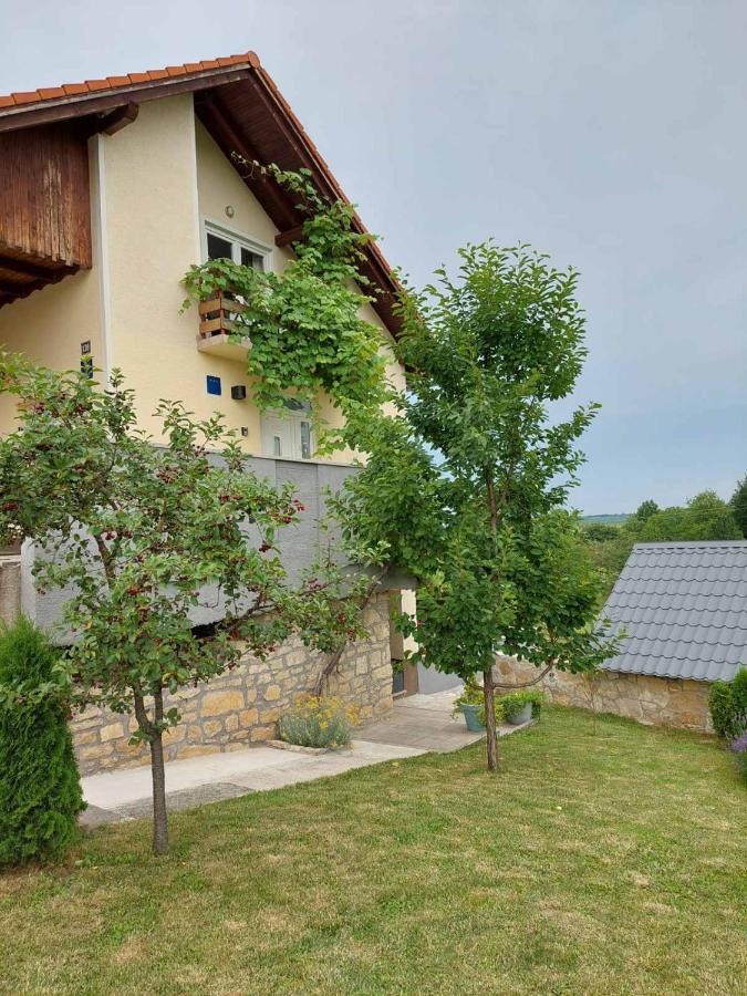 Apartman Hana Apartment Drežnik Grad Exterior foto